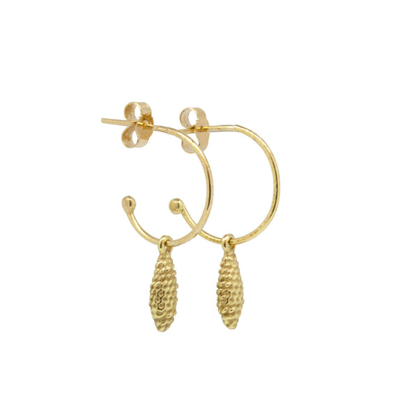Seed Pod Hoops